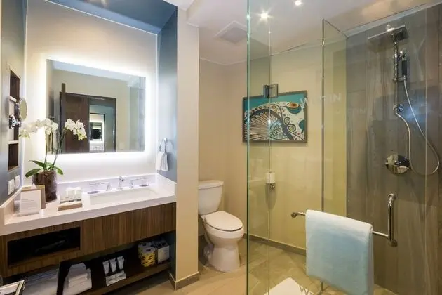 Stüdyo, 1 En Büyük (King) Boy Yatak ve Çekyat, Balkon, Okyanus Manzaralı