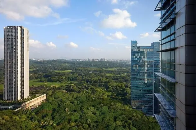 Executive Oda, 1 En Büyük (King) Boy Yatak, Sigara İçilmez, Şehir Manzaralı