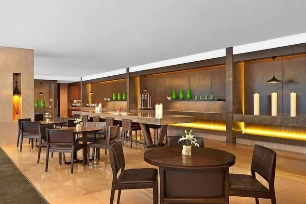 Executive Oda, 1 En Büyük (King) Boy Yatak, Sigara İçilmez, Şehir Manzaralı