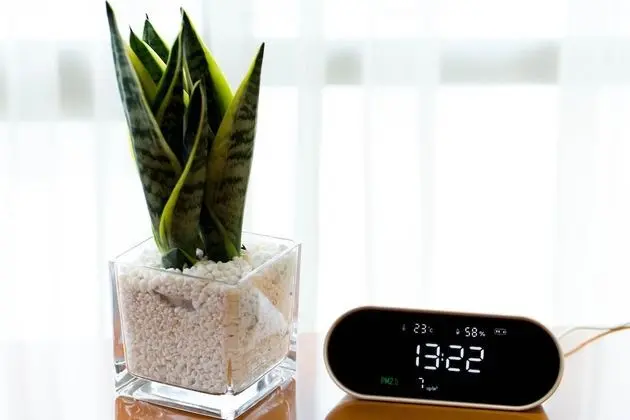 Süit, 1 Yatak Odası, Göl Manzaralı