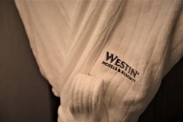 Deluxe Oda, 1 En Büyük (King) Boy Yatak, Balkon, Bahçe Manzaralı