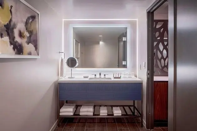 Traditional Oda, Birden Çok Yatak (Mobility Accessible, Roll-In Shower)