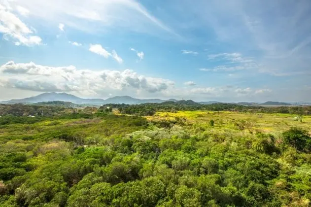 Odadan manzara