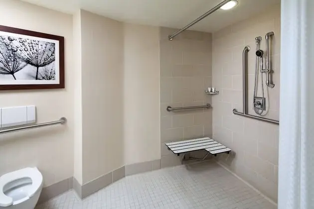 Oda, 1 En Büyük (King) Boy Yatak ve Çekyat (Mobility Accessible, Roll-In Shower)