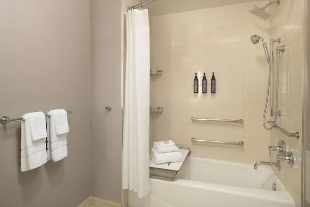 Traditional Oda, 1 En Büyük (King) Boy Yatak, Sigara İçilebilir (Mobility Accessible, Tub)
