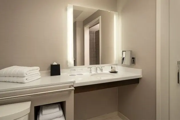 Traditional Oda, 1 En Büyük (King) Boy Yatak, Sigara İçilebilir (Mobility Accessible, Tub)