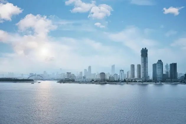 Executive Oda, 1 Yatak Odası