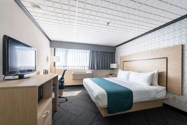 Standart King-Size Yataklı Oda