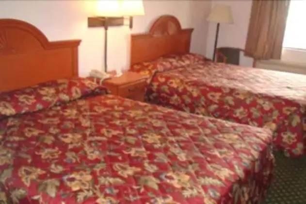 Deluxe Oda, 2 Çift Kişilik Yatak, Sigara İçilebilir