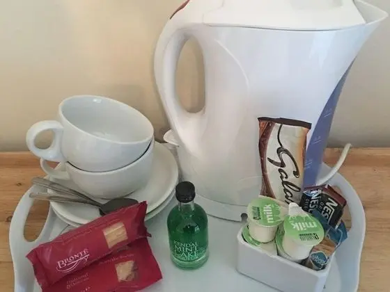 Standard Tek Büyük Yataklı Oda, Banyolu/Duşlu