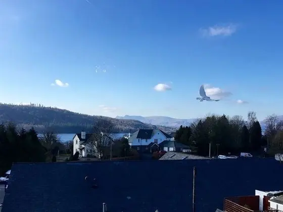 Tek Büyük Yataklı Oda, Banyolu/Duşlu, Göl Manzaralı