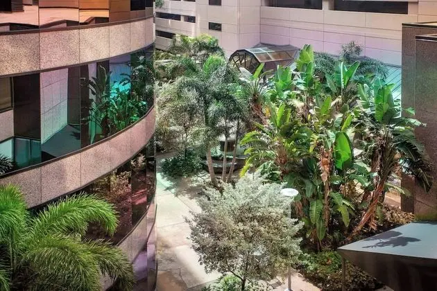 Oda, 2 Çift Kişilik Yatak, Şehir Manzaralı