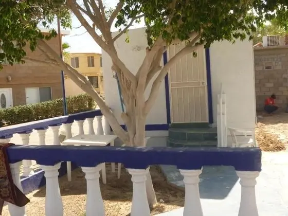 Traditional Stüdyo