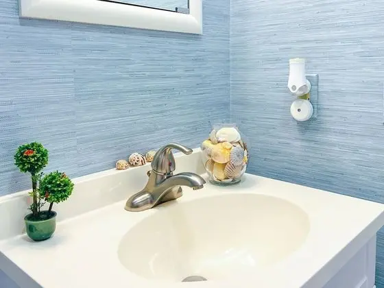 Deluxe Oda, 2 Tek Kişilik Yatak, Sigara İçilmez, Ortak Banyo