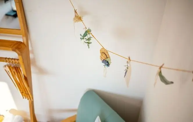 Traditional Tek Büyük Yataklı Oda, Okyanus Manzaralı, Ek Bina (Beluga)