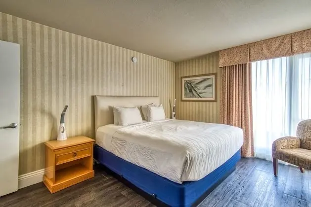 Çatı Katı Süiti (Penthouse), 2 Yatak Odası