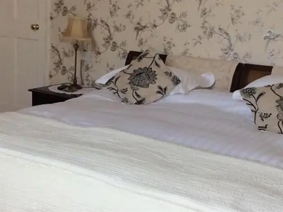 Deluxe İki Ayrı Yataklı Oda, Banyolu/Duşlu, Bahçe Manzaralı
