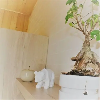 Garden Suite, 3/4 people