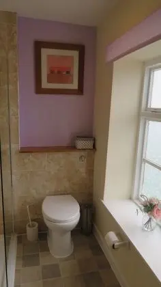 Superior Tek Büyük Yataklı Oda, Banyolu/Duşlu (Nero)