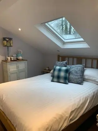 Deluxe Tek Büyük Yataklı Oda (Room 6)