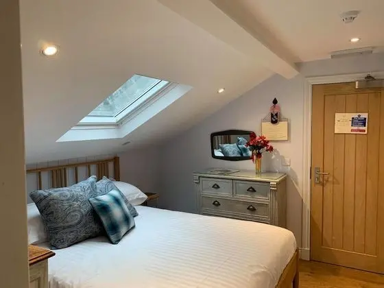 Deluxe Tek Büyük Yataklı Oda (Room 6)