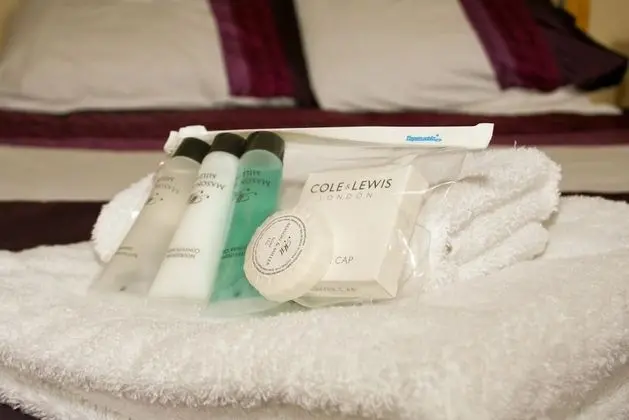 Standard Tek Büyük Yataklı Oda, Banyolu/Duşlu