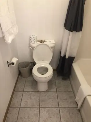 Deluxe Oda, 1 En Büyük (King) Boy Yatak