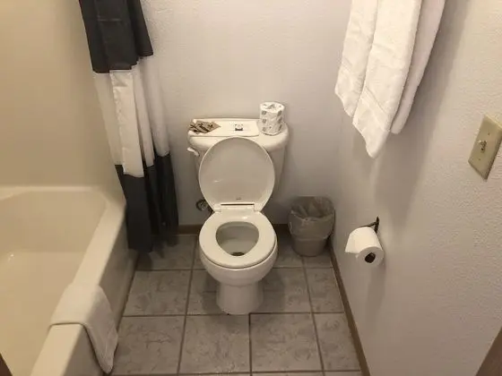 Deluxe Oda, 1 En Büyük (King) Boy Yatak