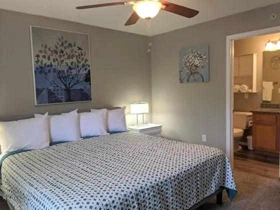 Daire (Whimsy B&B - Ozrark View - POOL - Rem)