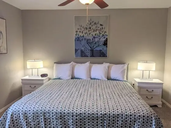 Daire (Whimsy B&B - Ozrark View - POOL - Rem)