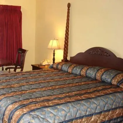 Standard Oda, 1 En Büyük (King) Boy Yatak, Sigara İçilmez