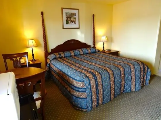 Standard Oda, 1 En Büyük (King) Boy Yatak, Sigara İçilmez