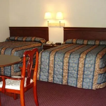 Standard Oda, 2 Çift Kişilik Yatak, Sigara İçilebilir