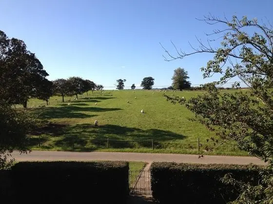 Standard Üç Kişilik Oda, 1 Yatak Odası (Lilac)