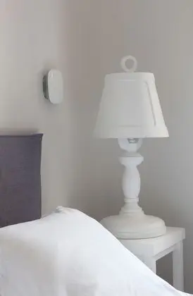 Superior Tek Büyük Yataklı Oda, Zemin Kat