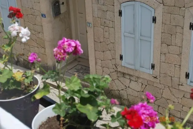 Standart Oda, Kara Manzaralı