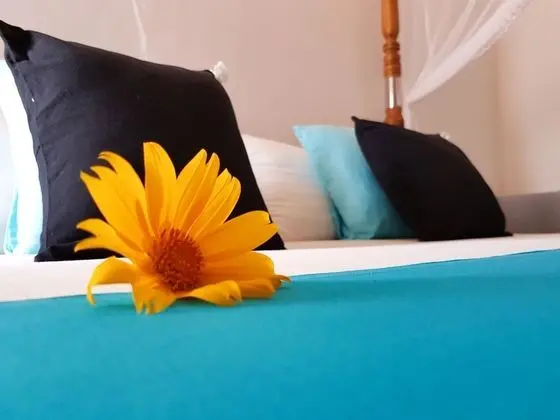 Deluxe Tek Büyük Yataklı Oda, 1 En Büyük (King) Boy Yatak, Sigara İçilebilir