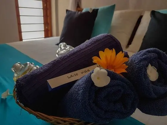 Deluxe Tek Büyük Yataklı Oda, 1 En Büyük (King) Boy Yatak, Sigara İçilebilir