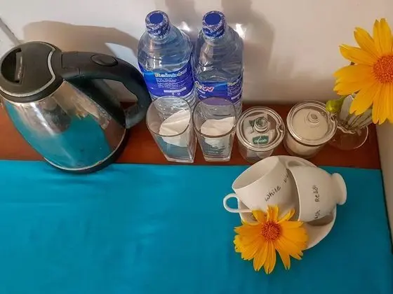 Deluxe Tek Büyük Yataklı Oda, 1 En Büyük (King) Boy Yatak, Sigara İçilebilir