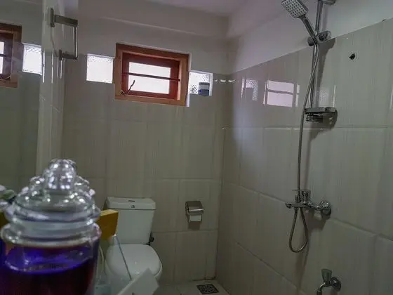 Standard Tek Büyük Yataklı Oda, 1 En Büyük (King) Boy Yatak, Sigara İçilebilir