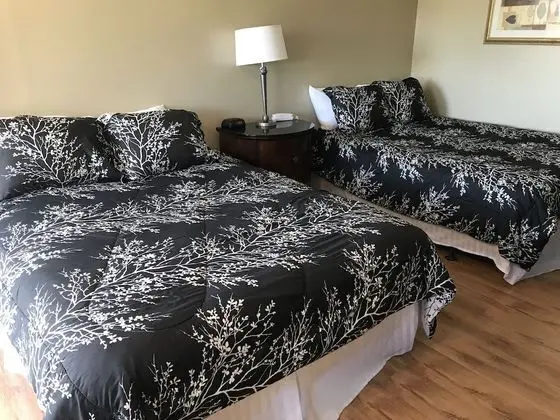 Standard Tek Büyük Yataklı Oda, 2 Çift Kişilik Yatak, Buzdolabı ve Mikrodalga