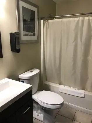 Standard Tek Büyük Yataklı Oda, 2 Çift Kişilik Yatak, Buzdolabı ve Mikrodalga