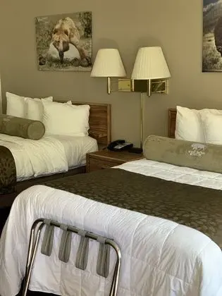 Deluxe Tek Büyük Yataklı Oda, 2 Çift Kişilik Yatak