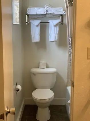 Deluxe Tek Büyük Yataklı Oda, 2 Çift Kişilik Yatak