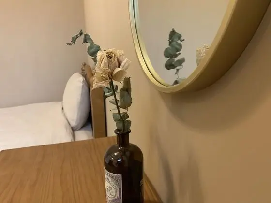 Standard İki Ayrı Yataklı Oda, Park Manzaralı