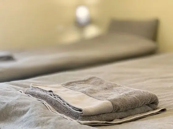 Standard İki Ayrı Yataklı Oda, Park Manzaralı