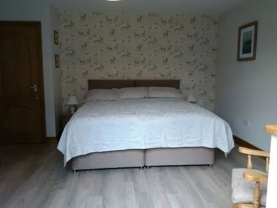 Deluxe Tek Büyük veya İki Ayrı Yataklı Oda, Banyolu/Duşlu, Bahçe Manzaralı