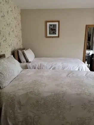 Deluxe Tek Büyük veya İki Ayrı Yataklı Oda, Banyolu/Duşlu, Bahçe Manzaralı
