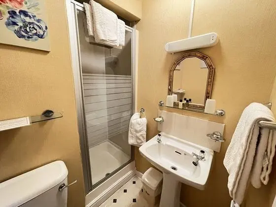 Standard Tek Büyük Yataklı Oda, Özel Banyo