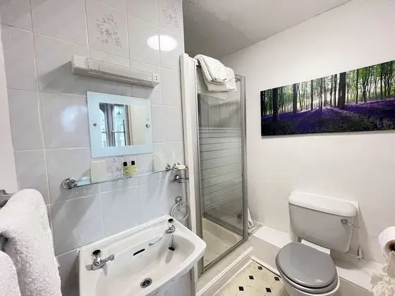 Tek Büyük Yataklı Oda, Özel Banyo, Deniz Manzaralı